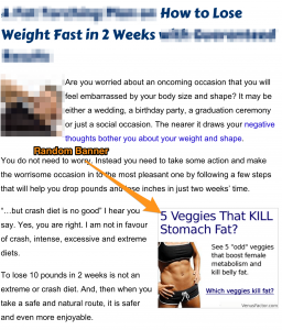 A_Fat_Torching_Plan_on_How_to_Lose_Weight_Fast_in_2_Weeks_with_Guaranteed_Results___PEAS_Health2